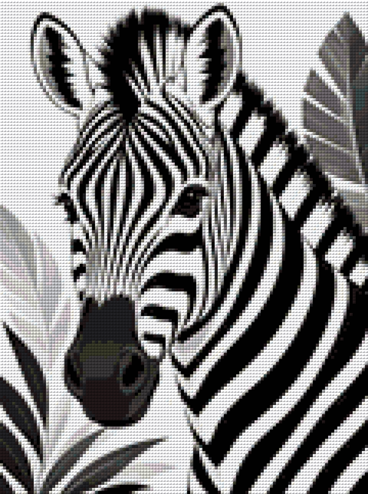 Kontrast der Wildnis | Lucky Choice 2.0