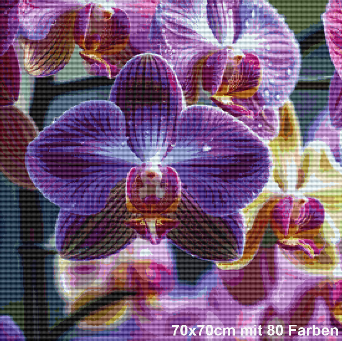 Orchideen des Herzens
