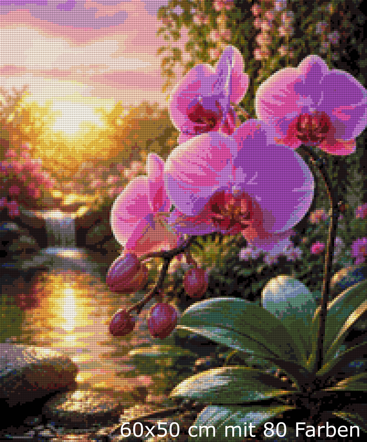 Orchideenzauber im Abendlicht