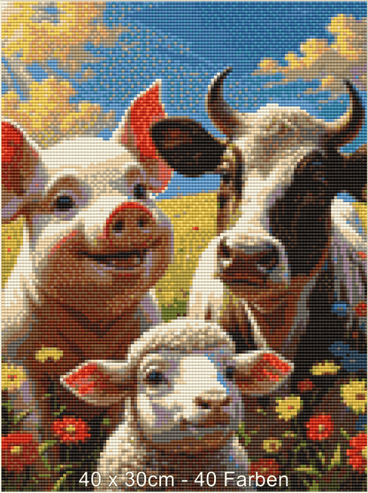 Nature Bauernhof - Lucky Soul Diamonds