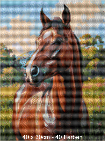 Nature Pferd - Lucky Soul Diamonds