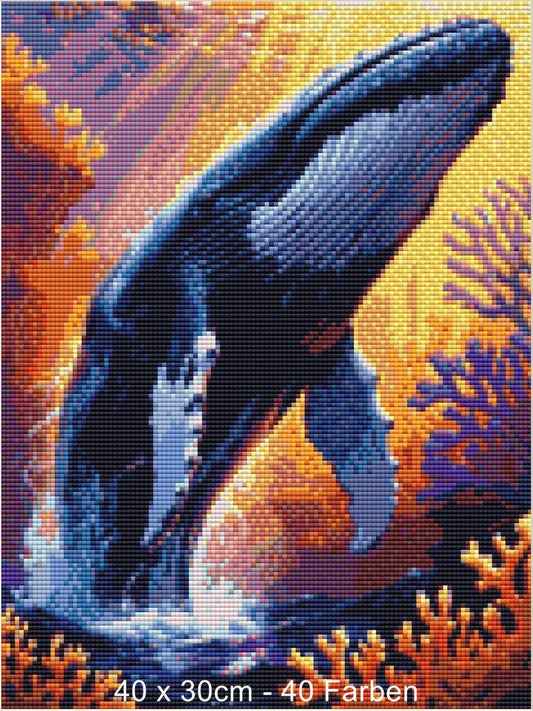 Nature Wal - Lucky Soul Diamonds