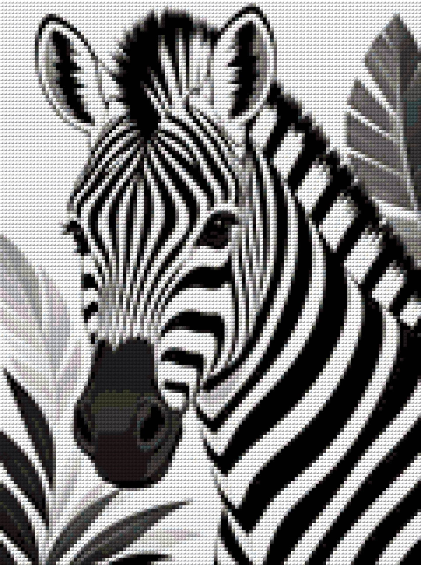 Kontrast der Wildnis | Lucky Choice 2.0