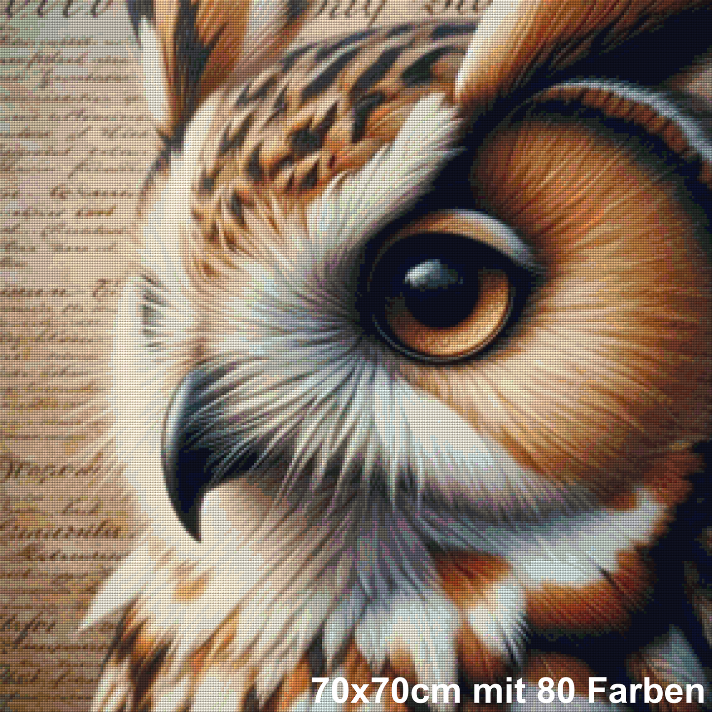Der Blick der Weisheit