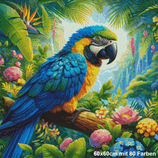 Amazonas Ara - Lucky Soul Diamonds