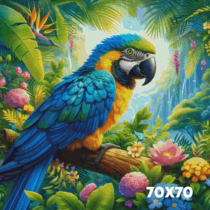 Amazonas Ara - Lucky Soul Diamonds