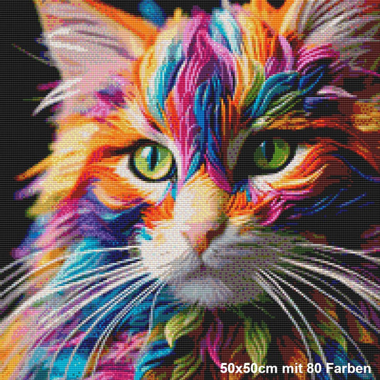 Regenbogen Maine Coon - Lucky Soul Diamonds