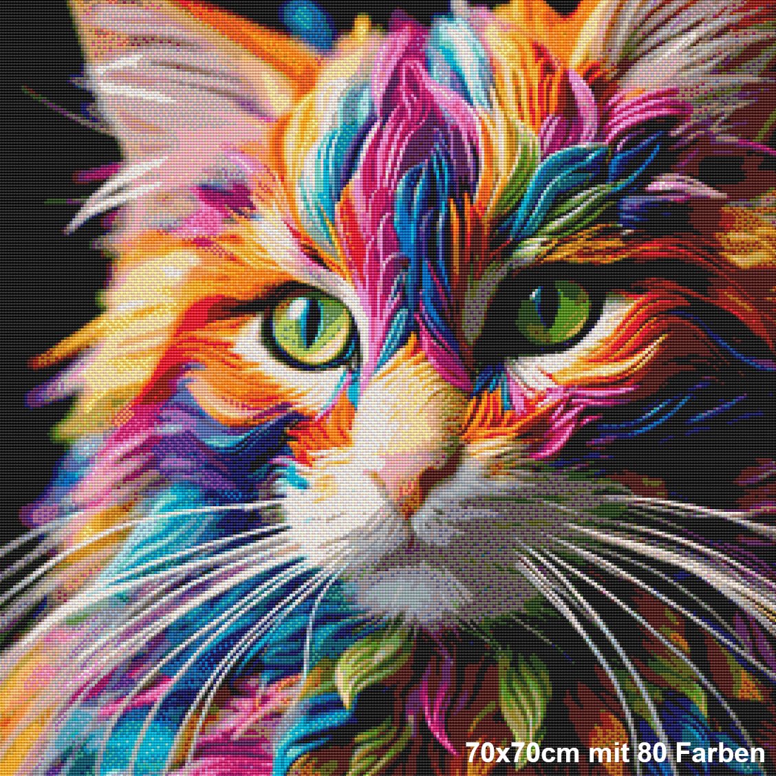 Regenbogen Maine Coon - Lucky Soul Diamonds