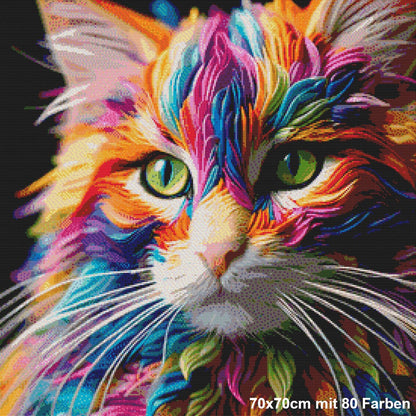 Regenbogen Maine Coon - Lucky Soul Diamonds