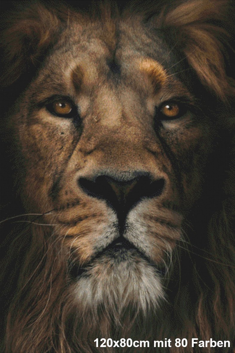 Im Auge des Löwen - Lucky Soul Diamonds