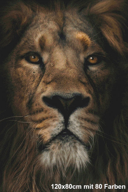 Im Auge des Löwen - Lucky Soul Diamonds