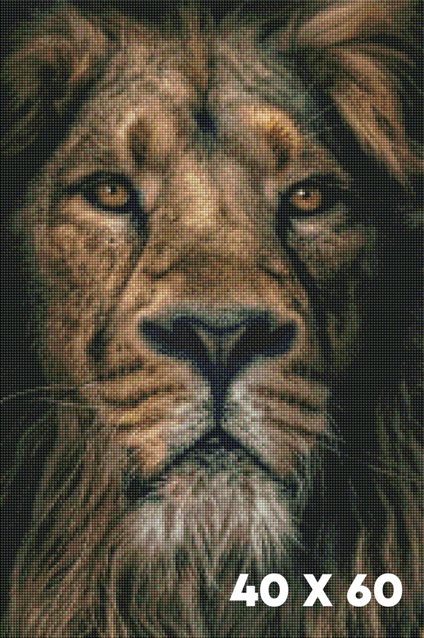 Im Auge des Löwen - Lucky Soul Diamonds