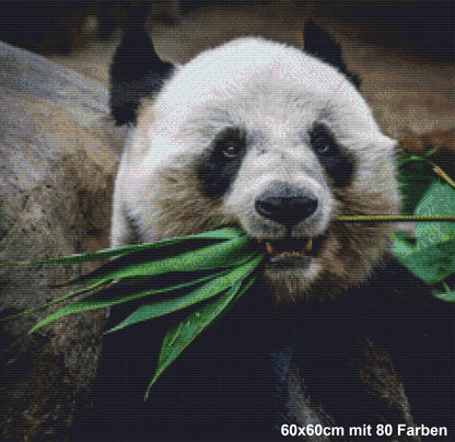 Gemütlicher Panda - Lucky Soul Diamonds