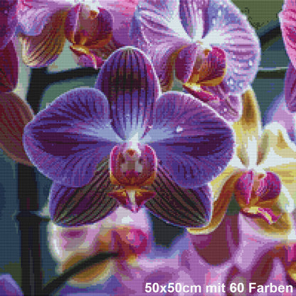 Orchideen des Herzens