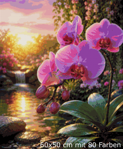 Orchideenzauber im Abendlicht
