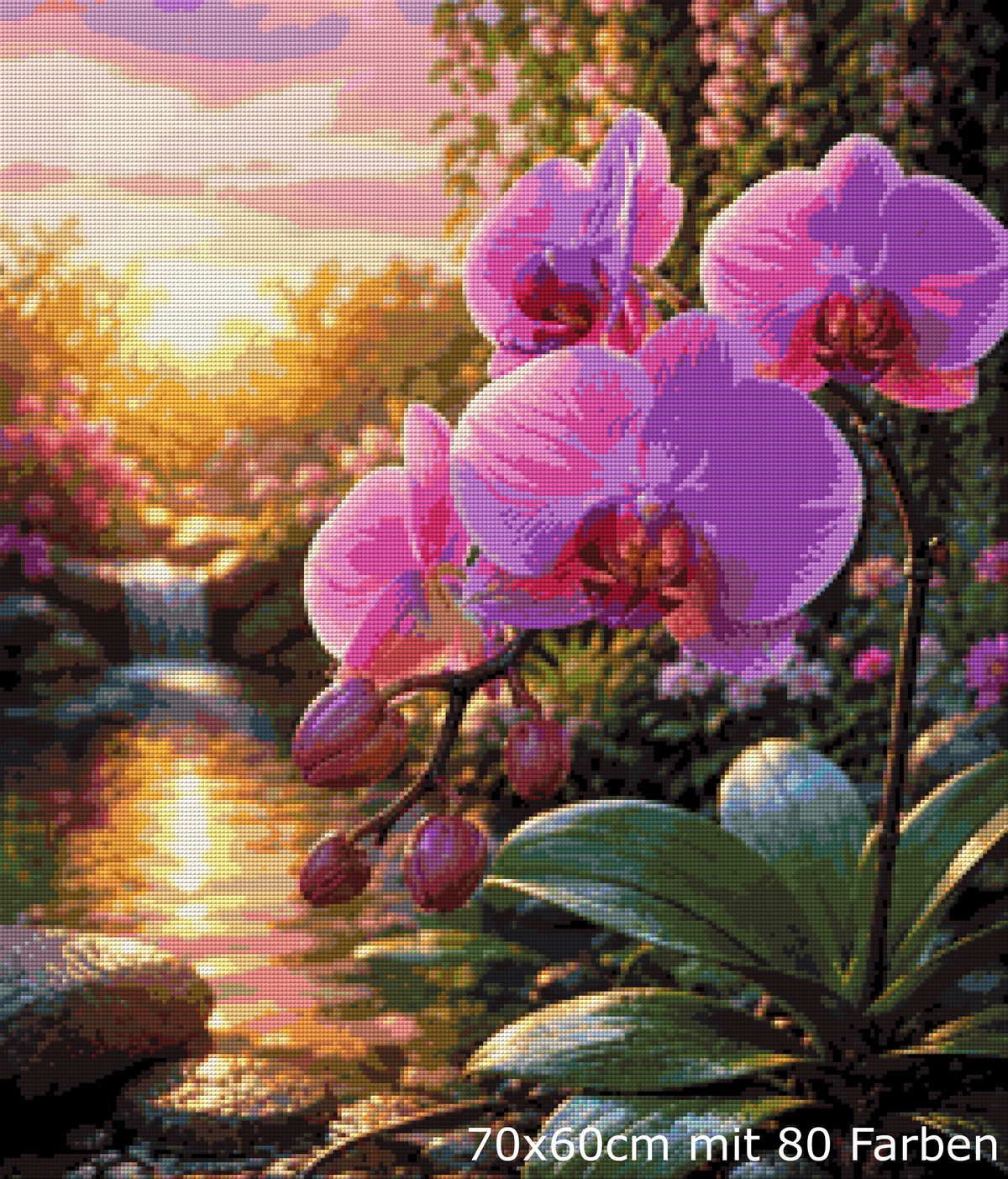 Orchideenzauber im Abendlicht