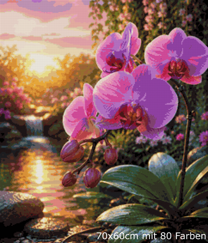Orchideenzauber im Abendlicht